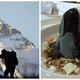 Image for article titled During this year’s Art Basel Hong Kong, you can eat the art